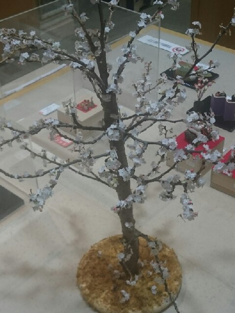 wp-1454073115841 image