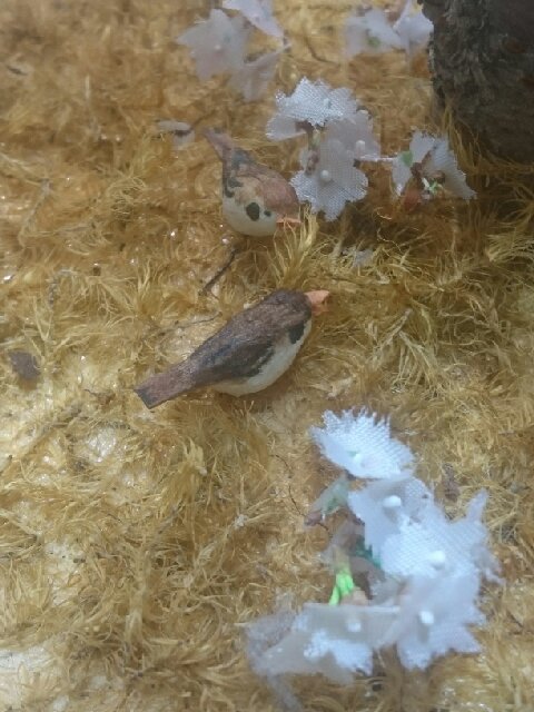 wp-1454073125275 image