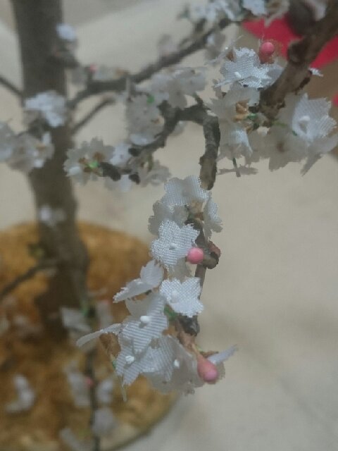 wp-1454073132213 image